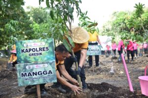 Peduli Lingkungan, Polres Gresik Bersama Bhayangkari Tanam Puluhan Pohon Produktif