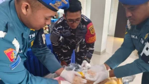 Penyelundupan 39.927 Benih Lobster Senilai Rp 1,1 Miliar Digagalkan di Bandara Juanda