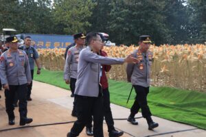Polri dan Petani Jagung Tuban Siap Sambut Kehadiran Presiden RI di Panen Raya