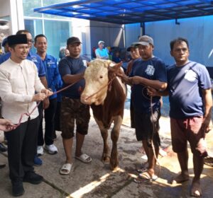 Demokrat Jatim Ubah Pola Distribusi Kurban: Diantar Langsung ke Rumah Warga, Tanpa Antre Kupon