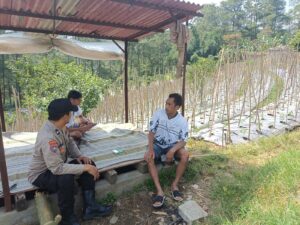 Aipda Eko Nugroho Tinjau Pekarangan Pangan Bergizi di Pasuruan