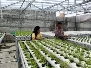 Sukseskan Ketahanan Pangan, Bhabinkamtibmas Kedurus Beri Pembinaan Tani Hidroponik Warga