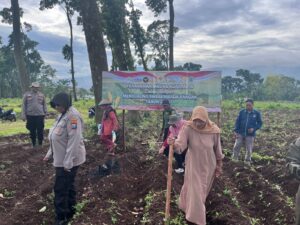 Sokong Asta Cita, Anggota Polres Pasuruan Turun Ke Sawah Tanam Jagung