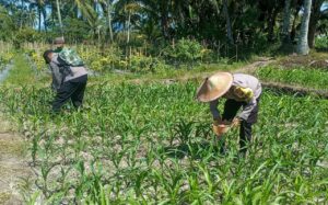 Langkah Nyata Polres Lumajang Kawal Swasembada dan Ketahanan Pangan Nasional