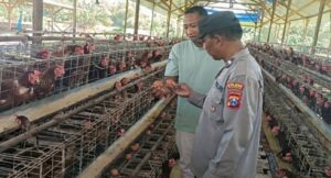 Polsek Rembang Dorong Ketahanan Pangan Lewat Pemantauan Sektor Peternakan Warga