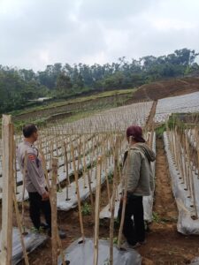 Dukung Asta Cita, Bhabinkamtibmas Polsek Nongkojajar Dampingi Ketahanan Pangan di Desa Gendro