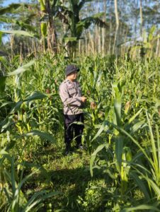 Bhabinkamtibmas Polsek Kedungjajang Dampingi Petani Perkuat Ketahanan Pangan