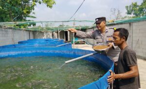 Bhabinkamtibmas Polsek Rembang Pantau Budidaya Lele, Dukung Ketahanan Pangan Nasional