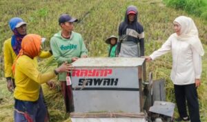 Jatim Kembali Jadi Lumbung Pangan Nasional, Produksi Padi Capai 7,71 Juta Ton