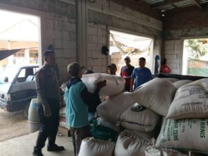 Jagung Petani Sukorejo Tembus Bulog, Polisi Kawal Pengiriman Hasil Panen
