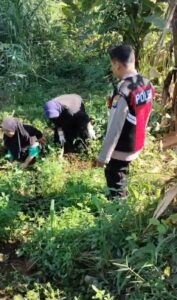 Bhabinkamtibmas Polsek Pasrepan Pantau Tanaman Jagung, Dukung Asta Cita Ketahanan Pangan Nasional