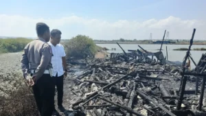 Tinggalkan Api untuk Usir Nyamuk, Kandang Kambing di Surabaya Ludes Terbakar