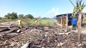 Kandang Ternak di Menganti Gresik Terbakar, Kerugian Rp50 Juta