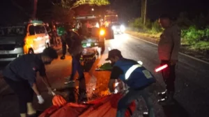 Tabrak Lari di Cerme Gresik, Pengendara Motor Asal Sidoarjo Tewas Tergilas Truk