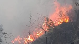 Bromo Masih Bisa Dikunjungi Lewat 2 Jalur Setelah 3 Akses Ditutup karena Kebakaran