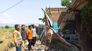 Gempa M7,7 Guncang Flores NTT, Pakar ITS: Waspada Susulan 2 Minggu ke Depan
